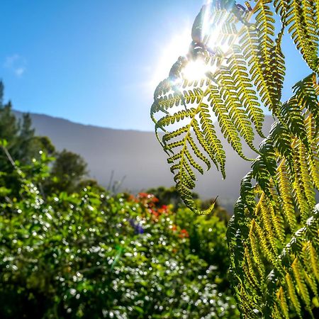 Au Coeur du Paradis Cilaos Eksteriør billede
