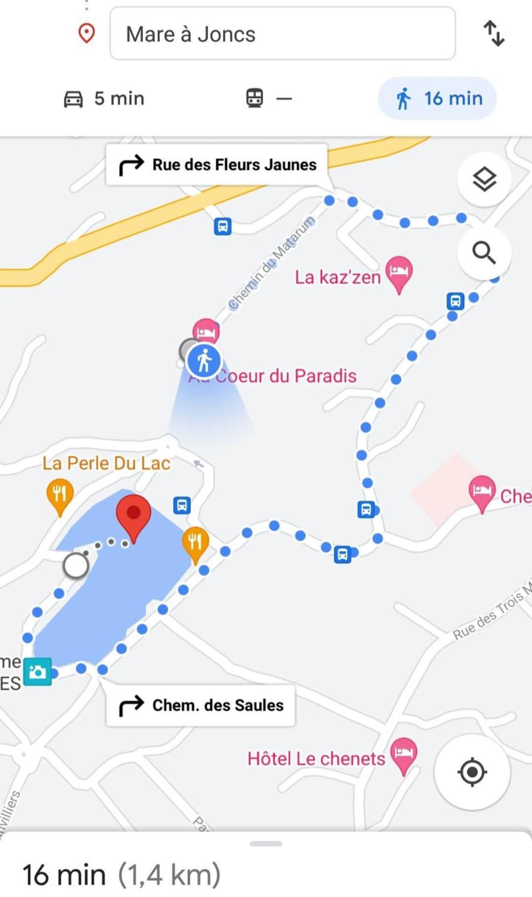 Au Coeur du Paradis Cilaos Eksteriør billede